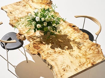 ポプラとは? どのような木材なのか、特徴や家具材、一枚板テーブルとしての魅力などを解説